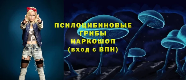дмт Переславль-Залесский