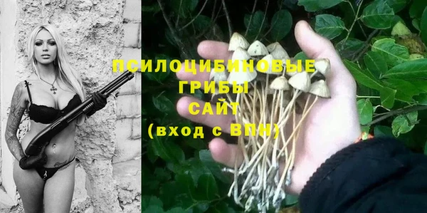 герыч Пересвет