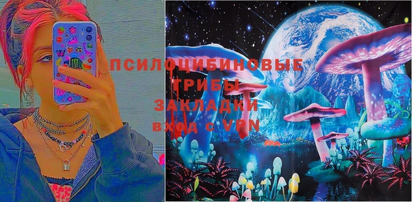 твердый Алзамай