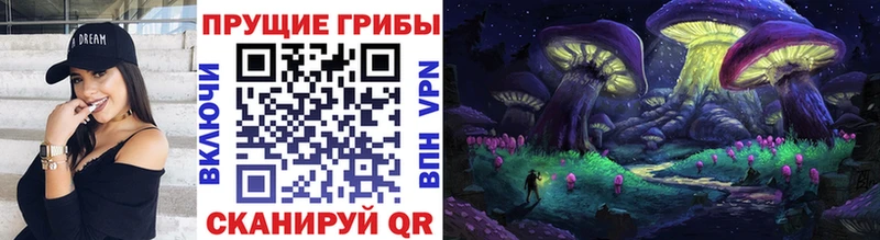 Псилоцибиновые грибы Psilocybe  Кадников 